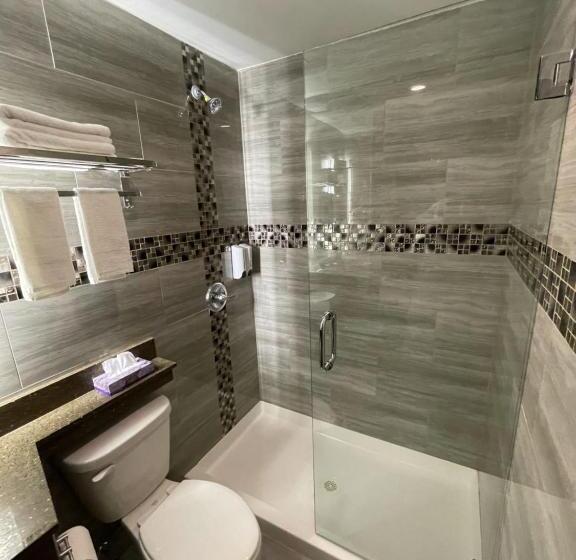 اتاق استاندارد با تخت بزرگ, 369 Brooklyn