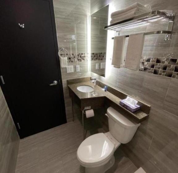 اتاق استاندارد با تخت بزرگ, 369 Brooklyn