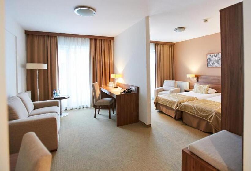اتاق کلاس بیزنس, Arche Hotel Puławska Residence