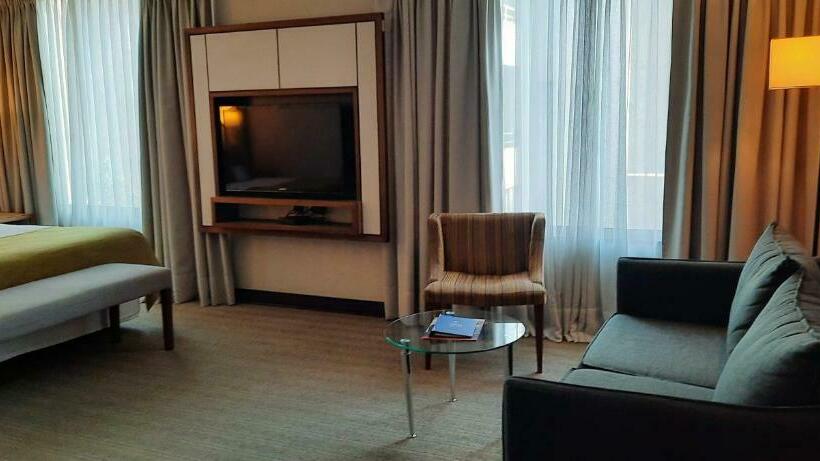 اتاق سوپریور, Abba Presidente Suites Santiago