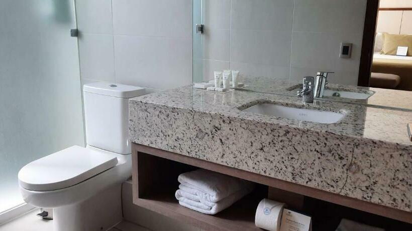 اتاق سوپریور, Abba Presidente Suites Santiago