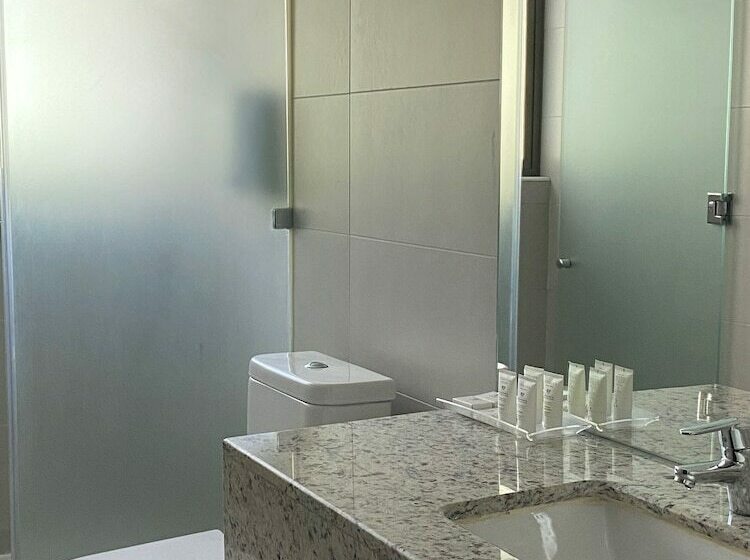 اتاق سوپریور, Abba Presidente Suites Santiago