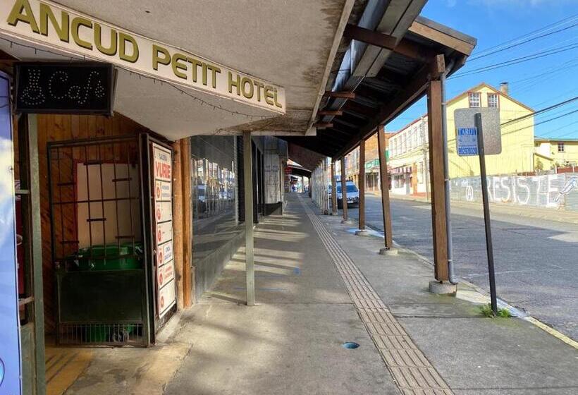 اتاق استاندارد یک نفره, Ancud Petit Hostal