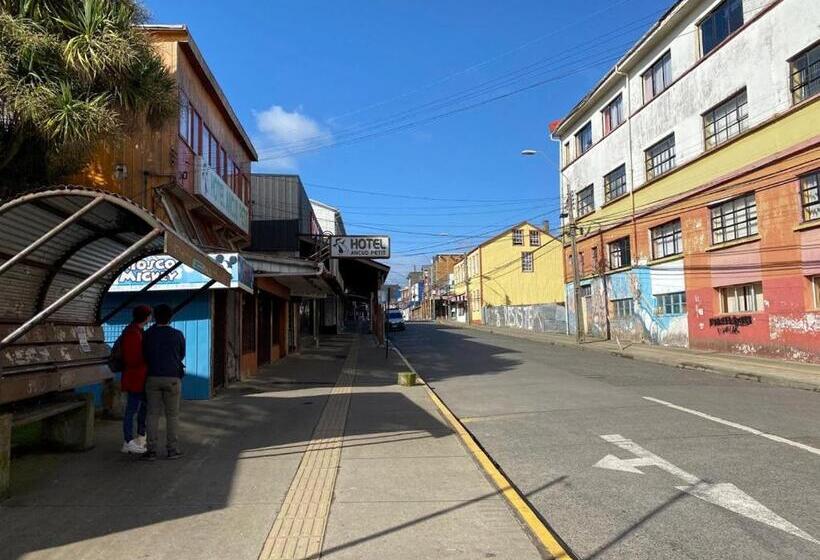 Standardeinzelzimmer, Ancud Petit Hostal