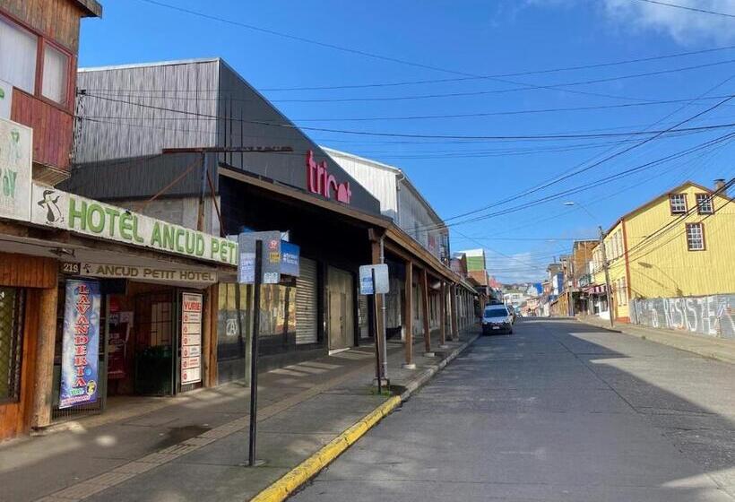 Standardeinzelzimmer, Ancud Petit Hostal