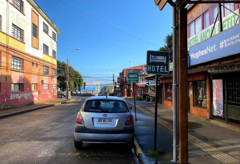 Standardeinzelzimmer, Ancud Petit Hostal