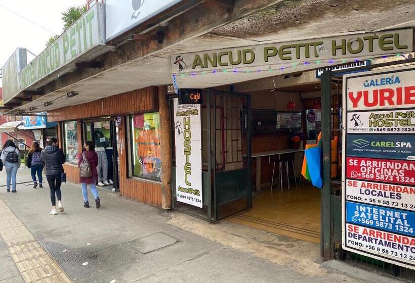 Standardzimmer, Ancud Petit Hostal