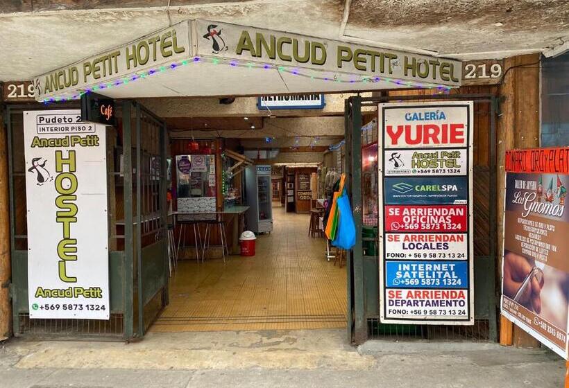 اتاق استاندارد, Ancud Petit Hostal