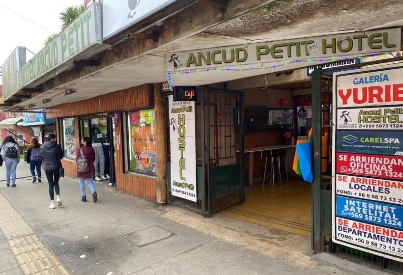 اتاق استاندارد چهار تخته, Ancud Petit Hostal