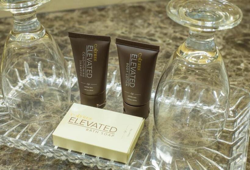 اتاق استاندارد با تخت بزرگ برای معلولان, Ayres Hotel Redlands   Loma Linda