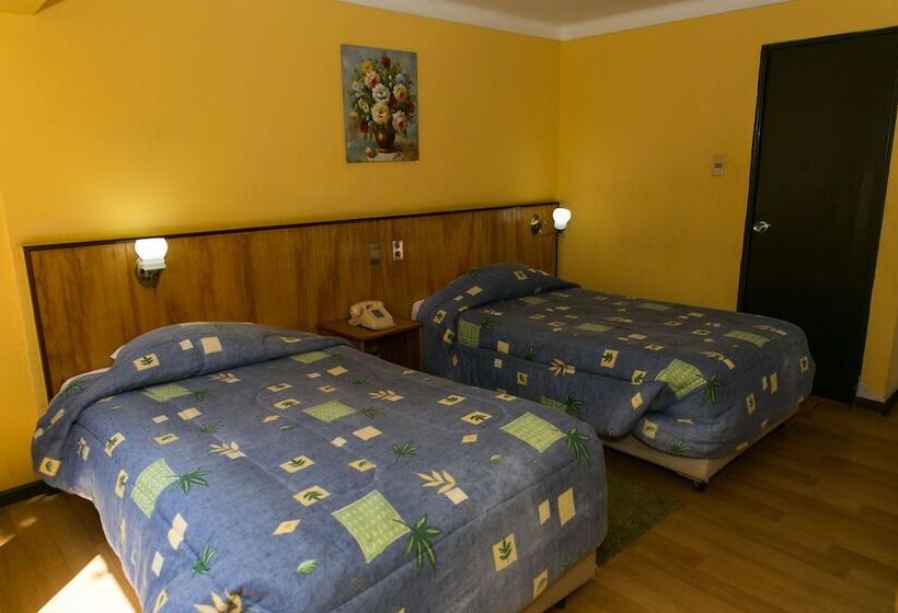 Chambre Standard, Del Valle Azapa