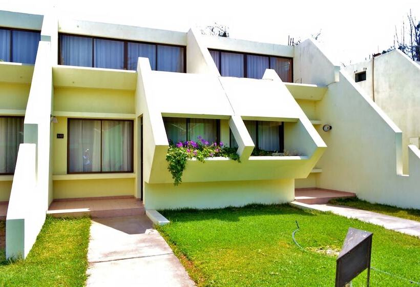 اتاق استاندارد سه نفره, Del Valle Azapa