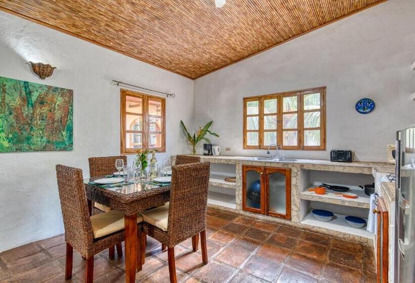 آپارتمان لوکس 1 خوابه, Boutique Hotel Secret Garden Granada