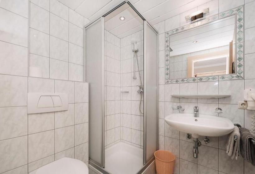 اتاق استاندارد, Berghotel Bodenalpe