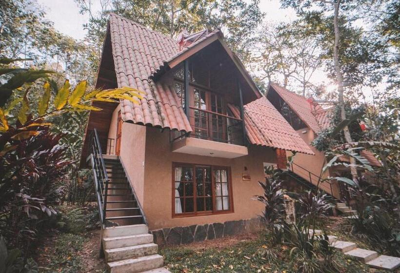 اتاق استاندارد با تخت بزرگ, Kantu Garden Lodge