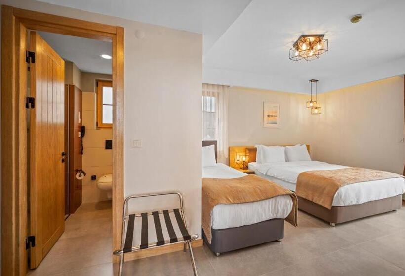 اتاق استاندارد سه نفره, Zeyt Inn