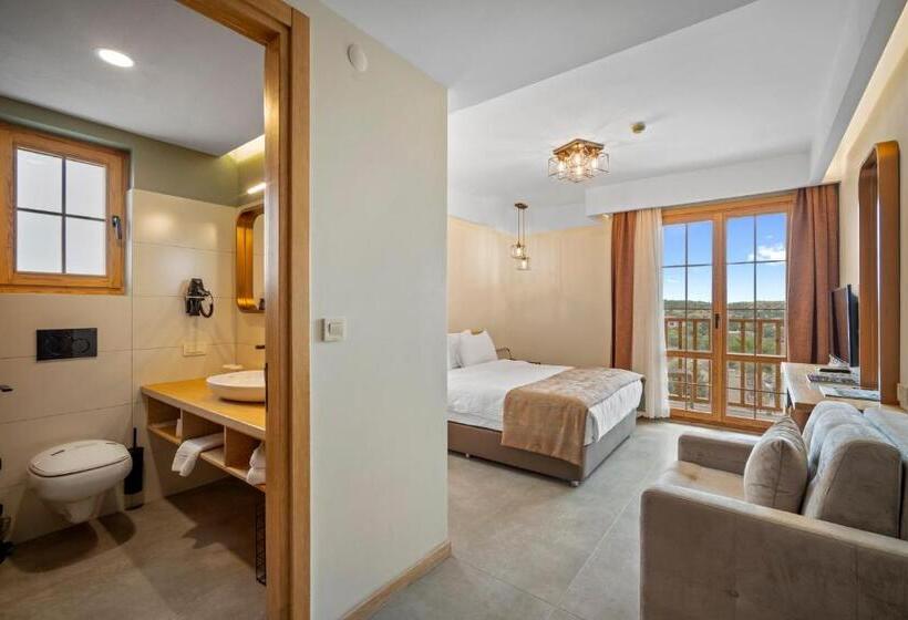 اتاق استاندارد, Zeyt Inn