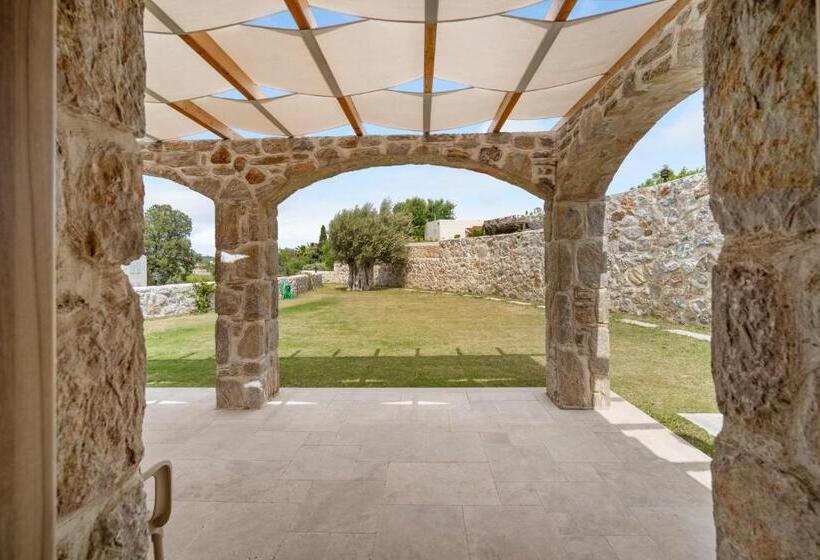 اتاق لوکس, Zeyt Inn