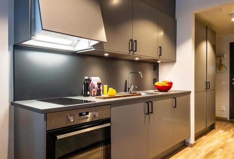 استودیو استاندارد با بالکن, Uppsala Hotel Apartments