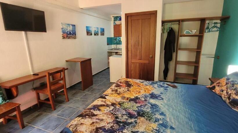 آپارتمان 1 خوابه با چشم‌انداز باغ, Cabinas Corazon