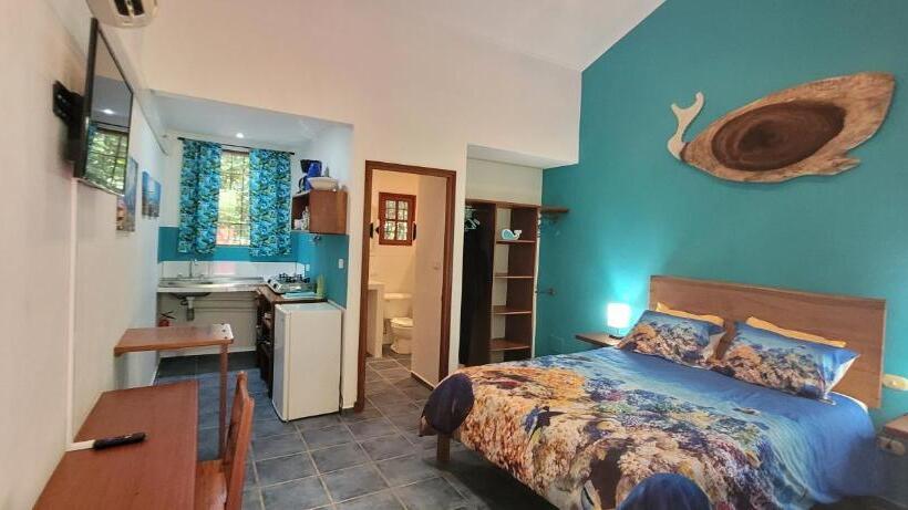 آپارتمان 1 خوابه با چشم‌انداز باغ, Cabinas Corazon