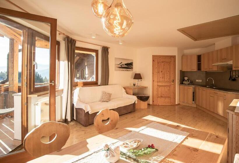 آپارتمان 1 خوابه, Residence Alpenrose