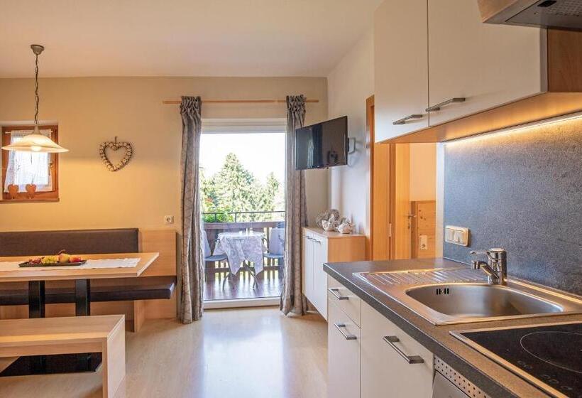 آپارتمان 1 خوابه با بالکن, Residence Alpenrose