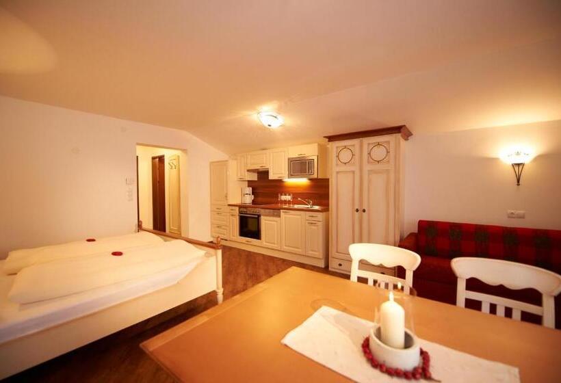 استودیوی استاندارد, Aparthotel Dachsteinblick