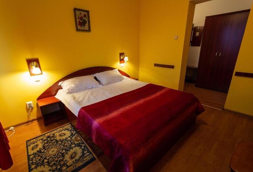 اتاق استاندارد, Pensiunea Casa Porojan