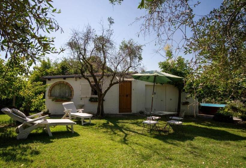 اتاق لوکس, Trecentolivi B&b