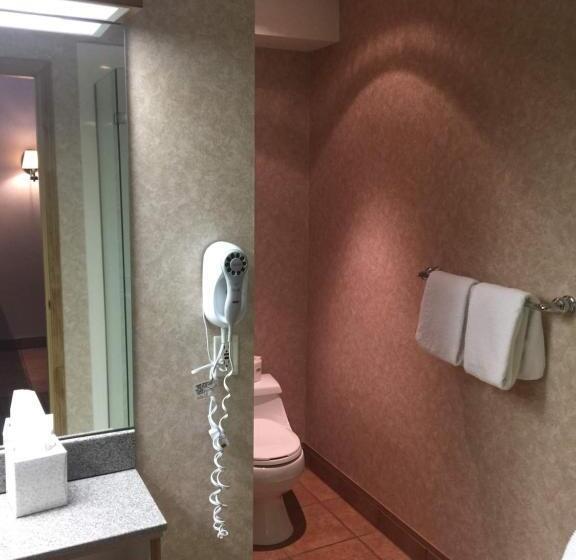 اتاق لوکس با تخت بزرگ, Fairmont Hot Springs Resort