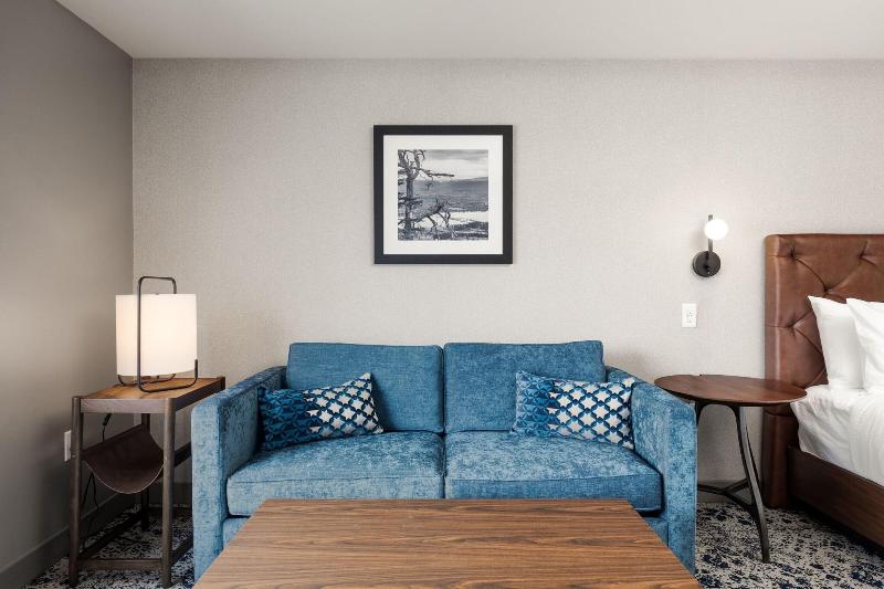 اتاق استاندارد با تخت بزرگ, Four Points By Sheraton Kelowna Airport