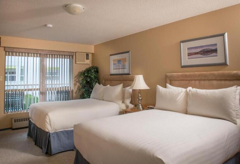 اتاق استاندارد با 2 تخت دوبل, Hilltop Inn  Salmon Arm