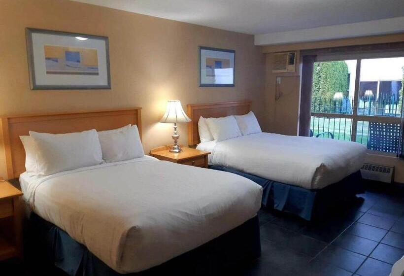 اتاق استاندارد, Hilltop Inn  Salmon Arm