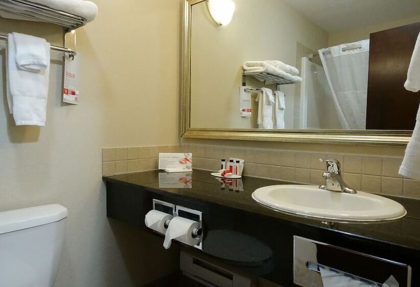 اتاق سوپریور, Ramada By Wyndham Weyburn