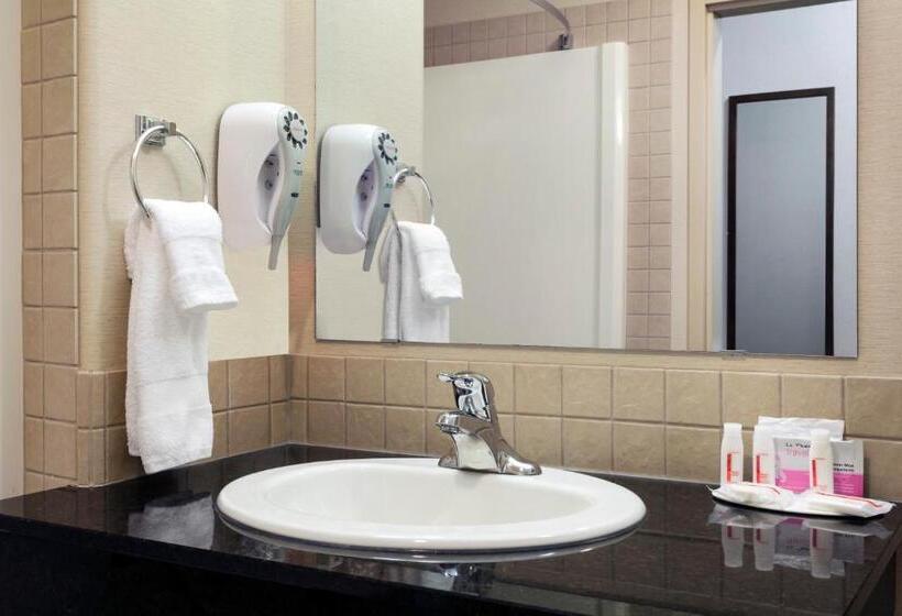 اتاق استاندارد با تخت بزرگ برای معلولان, Ramada By Wyndham Weyburn