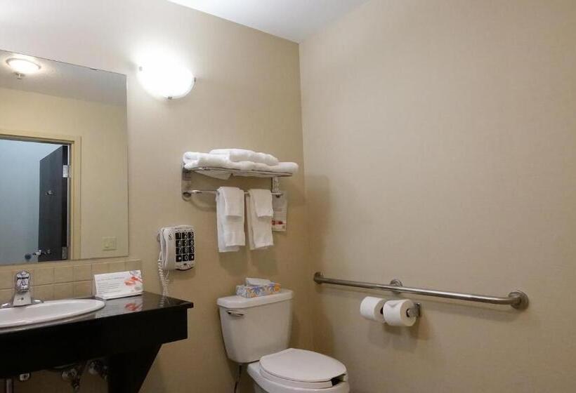 اتاق استاندارد با تخت بزرگ برای معلولان, Ramada By Wyndham Weyburn