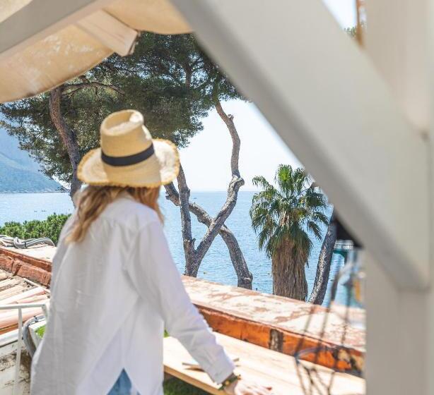 , De La Plage   Mahogany