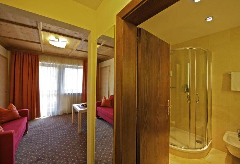 اتاق استاندارد, Sporthotel Panorama