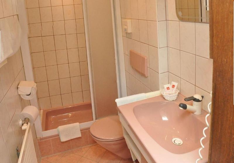 اتاق استاندارد یک نفره, Zlamiholzer