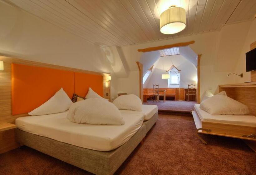 Habitación Estándar Cama King, Wohlfühlhotel Goiserer Mühle