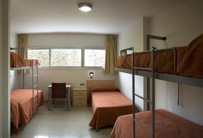 Bed in Shared Room with Shared Bathroom, Albergue Inturjoven Sevilla