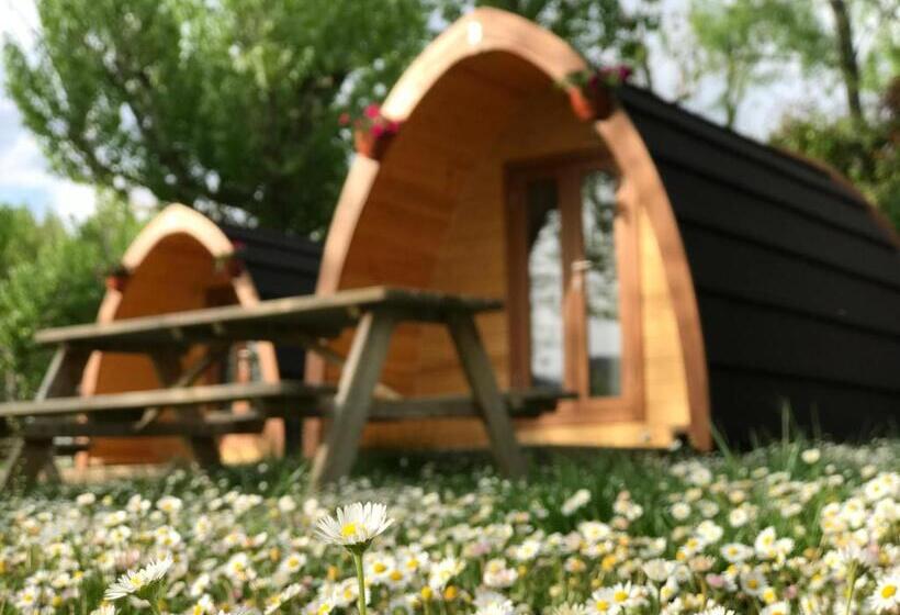 چادر با خدمات رفاهی استاندارد, Bungalows - Cãƒæ’ã‚â mping El Solsonãƒæ’ã‚â¨s