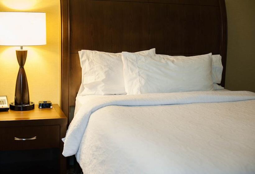 اتاق استاندارد با تخت دوبل, Hilton Garden Inn Buffalo Downtown
