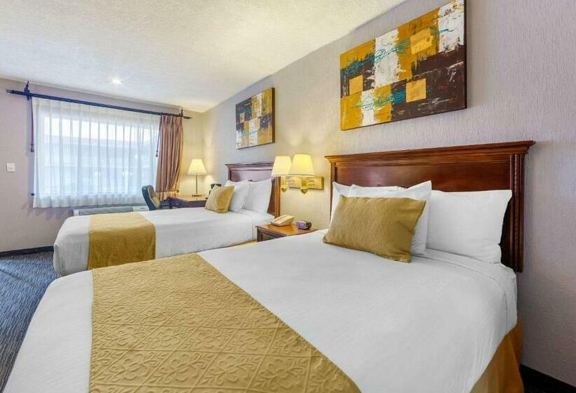 اتاق استاندارد, Quality Inn Piedras Negras