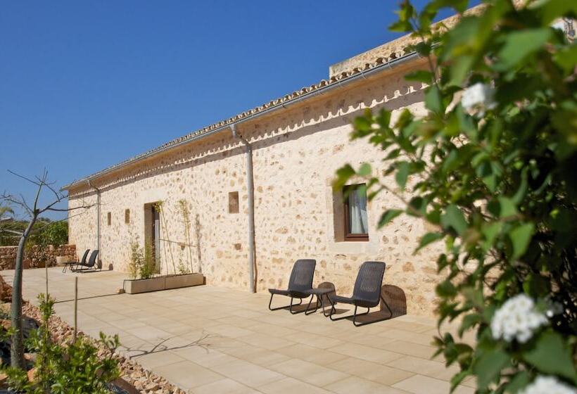 اتاق استاندارد, Bennoc Petit Hotel   Only Adults