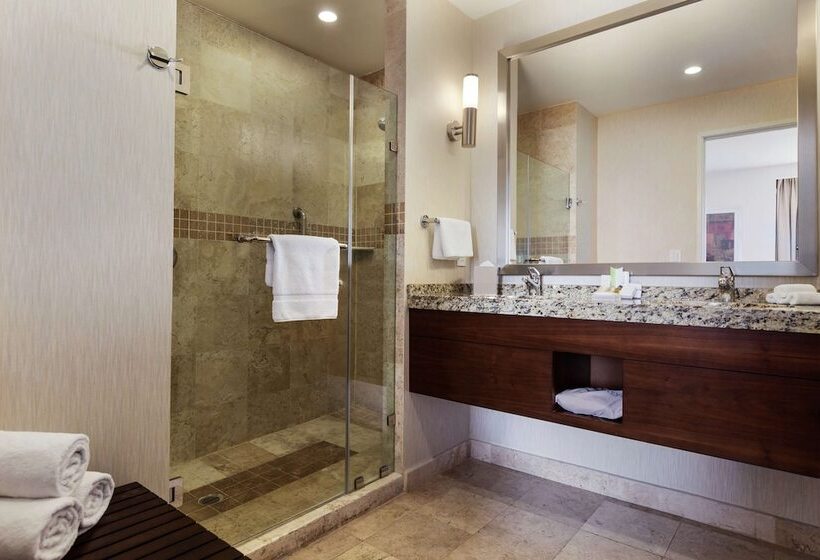 سوییت, Hilton Garden Inn Queretaro