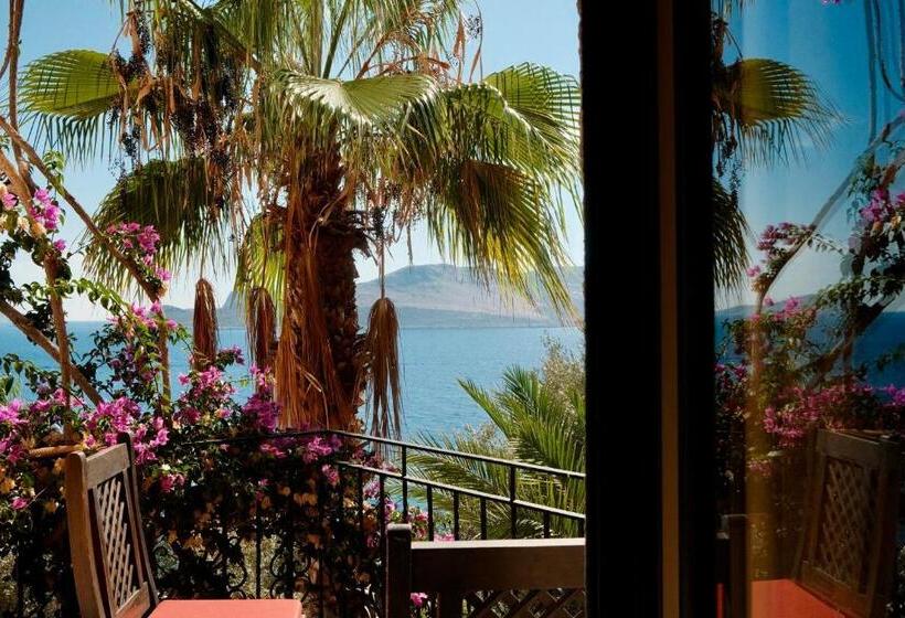 اتاق اساندارد با چشم‌انداز جانبی به دریا, Villa  Tamara