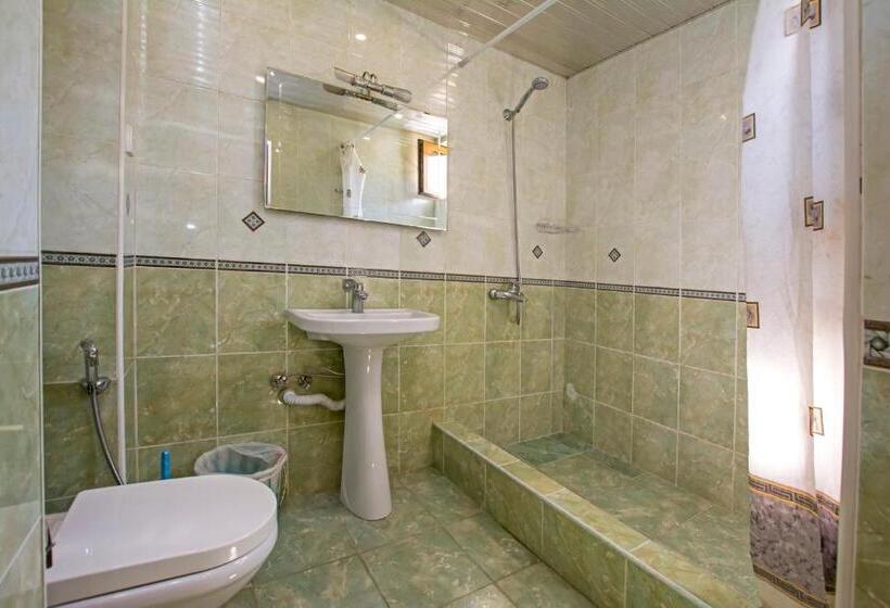 اتاق استاندارد با سرویس بهداشتی مشترک, Yerevan Hostel