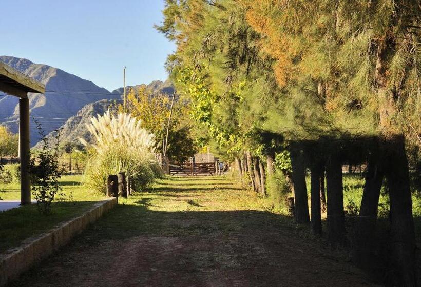 اتاق لوکس خانوادگی, Hostal Lo De Ramona